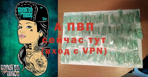 тгк Беломорск
